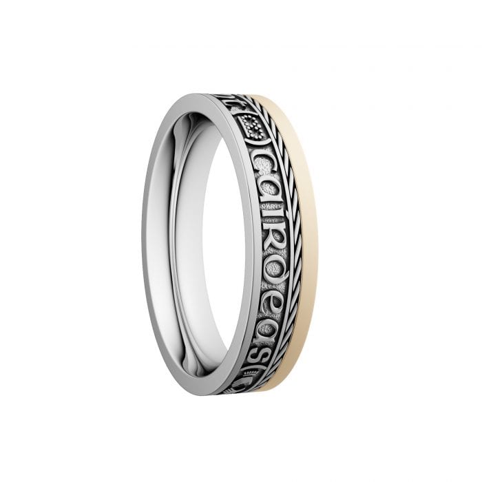 Grį Dilseacht Cairdeas Wedding Ring with Yellow Gold Rail - Narrow